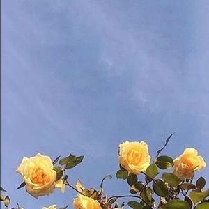 Meet your Posher, Maria virginia